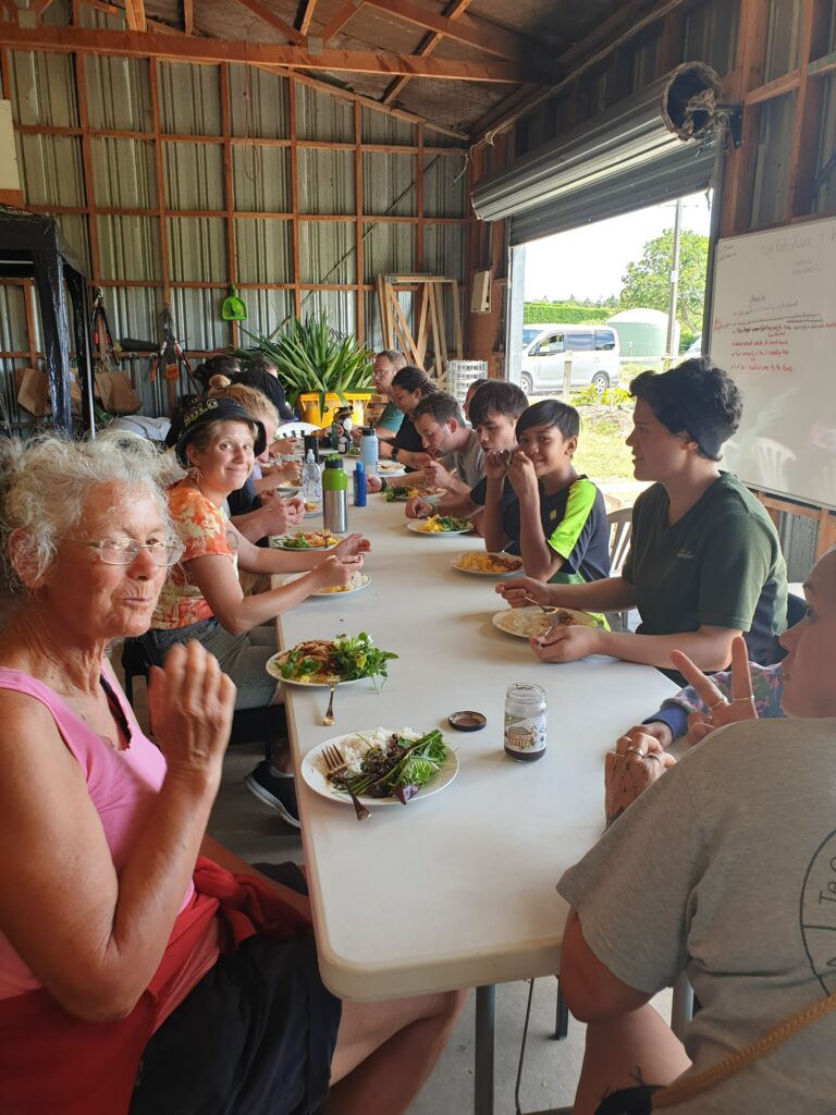 Friends and Volunteers of Ngapeke Permaculture